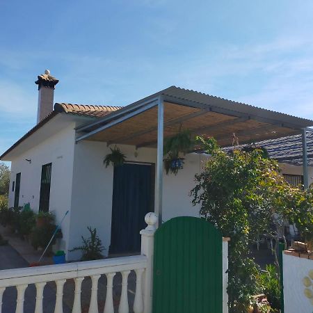 Alojamiento Rural La Perdiz La Puebla de los Infantes Eksteriør billede