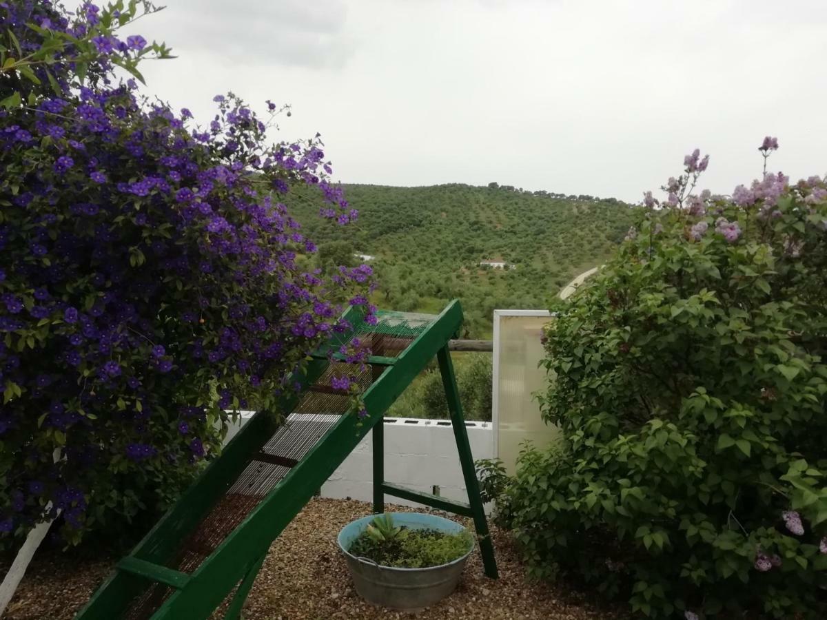 Alojamiento Rural La Perdiz La Puebla de los Infantes Eksteriør billede